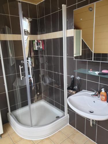 a bathroom with a shower and a sink at Eifeleule in Hürtgenwald