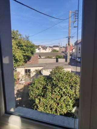 - une vue sur la brousse depuis la fenêtre dans l'établissement Maison Jacquard chambre, à Rouen