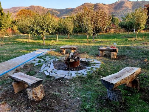 a fire pit in a field with two benches at Garni Nature Villa in Garni