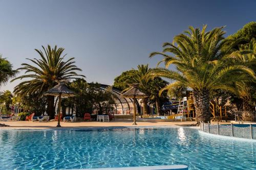 a large swimming pool with palm trees in a resort at Mer et Soleil 5 étoiles à Oléron empl 170 3CH 1SDB 8 personnes in Les Sables Vignier