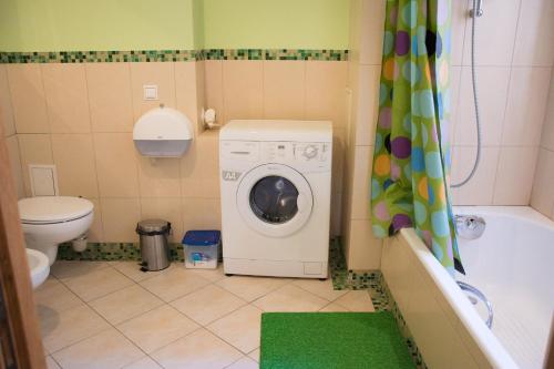 リヴィウにあるInLviv Apartmentsのバスルーム(洗濯機、トイレ付)