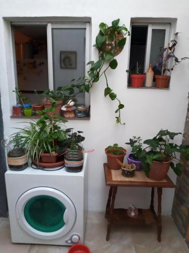 Gambar di galeri bagi Habitación en apto compartido para una persona di Montevideo