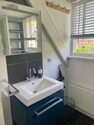 a bathroom with a sink and a mirror at 6 persoons Vakantiehuis Lavendel in Zeeland in Zonnemaire