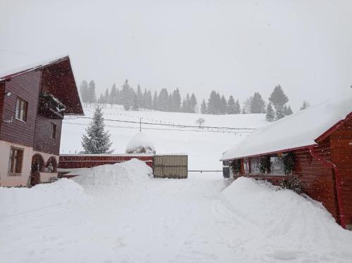 a barn covered in snow next to a house at Casa ALINA ȘI ANDREEA in Arieşeni