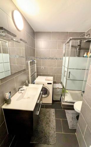 une salle de bain avec un lavabo et une machine à laver dans l'établissement Charmant Appartement très bien localisé avec Parking, à Puteaux