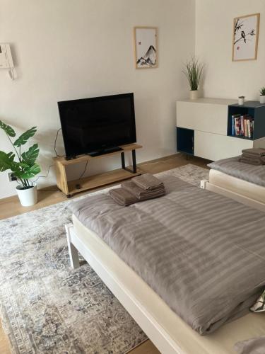Ústí nad Labem, Apartmány pod hradem Střekovem
