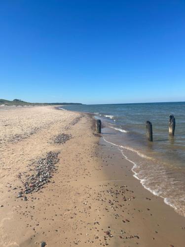 una spiaggia con pali in legno in acqua di BrightNest a Ventspils