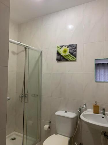un bagno con wc, doccia e lavandino di Vannimar t2 a Porto Novo