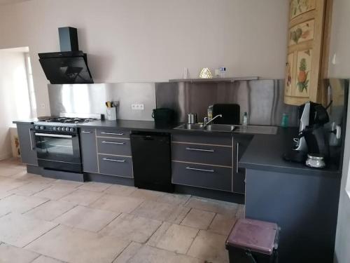 une cuisine avec un évier et une cuisinière dans l'établissement Le Logis de Louis, à Saint-Savin
