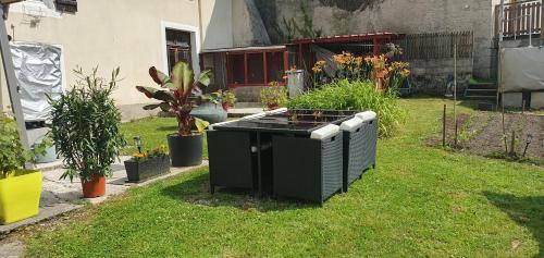 an outdoor grill in the grass in a garden at Gîte des trois rivières in Syam