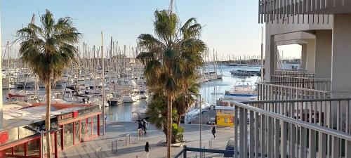 Le Port Dauphin : Vue bateaux; piscine; Cap d'Agde