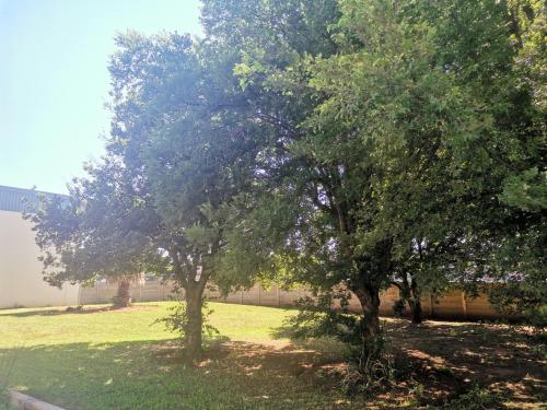 two trees in a field with a building in the background at SUN1 ALBERTON in Johannesburg