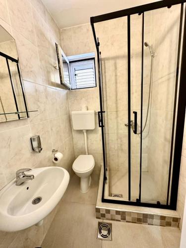 a bathroom with a shower and a toilet and a sink at Villa IL Mare in Budva
