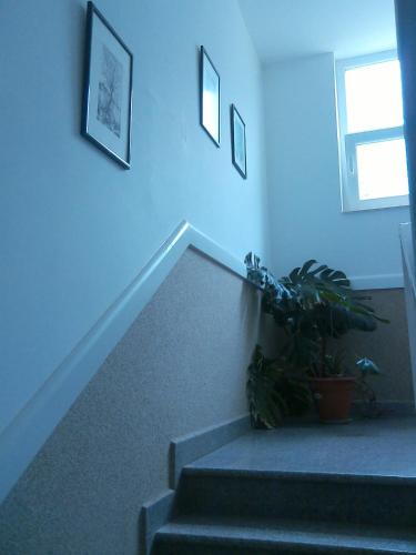 a staircase with a potted plant in a room at Pansion Ljubica in Međugorje
