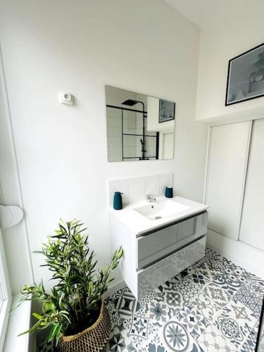 La salle de bains est pourvue d'un lavabo et d'une plante en pot. dans l'établissement Le moderne, à Charleville-Mézières