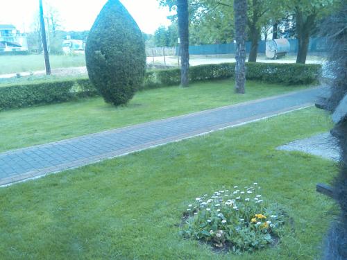 a garden with a large bush in the grass at Pansion Ljubica in Međugorje