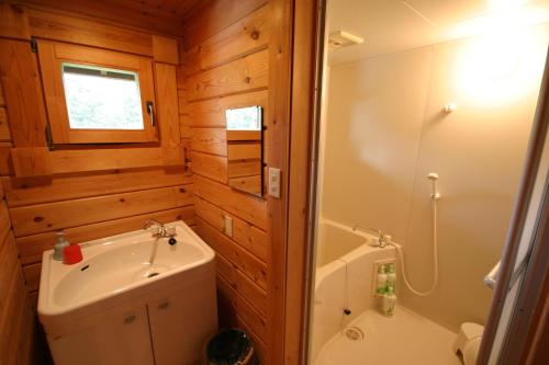 a bathroom with a toilet and a sink and a shower at Log Cottage Tomato in Hakuba