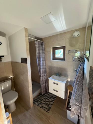 a bathroom with a toilet and a shower and a sink at Domki nad morzem u Sumy in Sztutowo