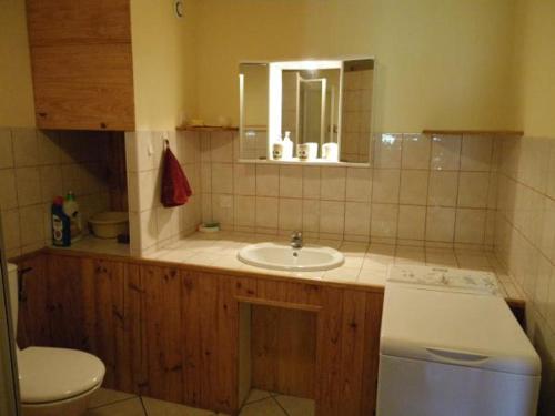 une salle de bain avec un lavabo, des toilettes et un miroir dans l'établissement Charmant 3 Pièces pour 4 Pers. à Valloire, Terrasse Sud-Est, Animaux Bienvenus, Proche Pistes et Golf - FR-1-263-158, à Valloire