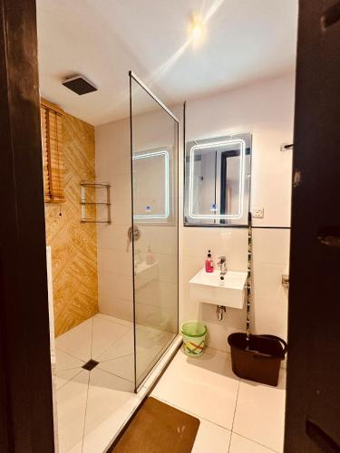 a bathroom with a glass shower and a sink at (A10) Hives Apartment in Lagos