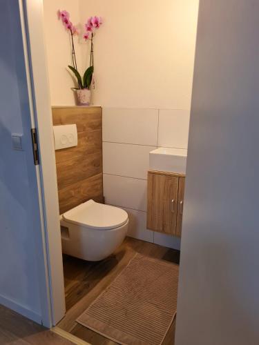 a bathroom with a toilet and a sink at Adria Home in Veringenstadt