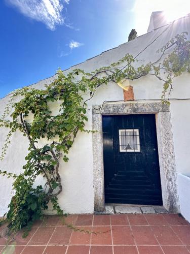 a building with a blue door and vines at Casalinho do Farol, Serra da Arrábida in Setúbal