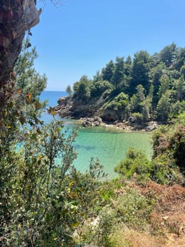 a view of a body of water with trees at Κατηγιωργης ΞΕΝΩΝΑΣ ΡΕΓΓΙΝΑ 2 in Agios Georgios