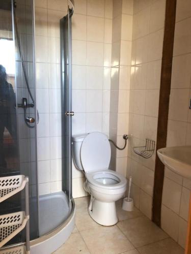a bathroom with a toilet and a shower and a sink at Stajnia Czahary in Pogorzelica