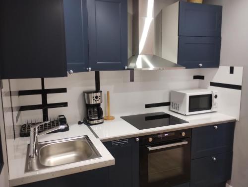 une cuisine avec un évier et un micro-ondes dans l'établissement Appartement le Trésor d'amour, à Noyers-sur-Cher