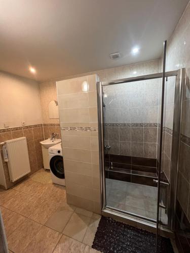 a bathroom with a shower and a toilet and a sink at -Self-Check- 4-bedroom family house with heated tub in Levice