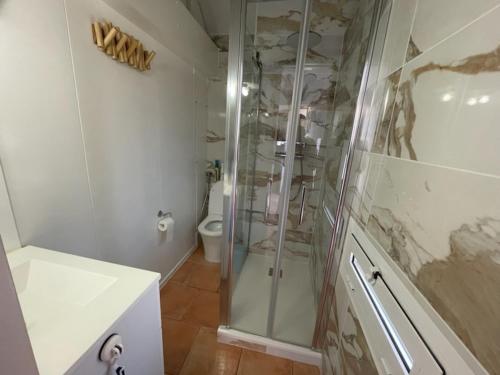 une salle de bain avec douche et toilettes dans l'établissement Port cipriano Terrasse face à la mer Wifi Clim Parking, à Saint-Cyprien