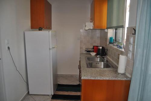 a small kitchen with a refrigerator and a sink at MagnoliaHouse 2 in Preveza