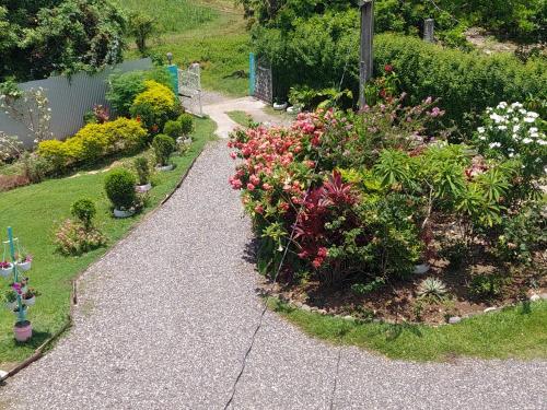 Ein Garten an der Unterkunft Tim Pappies Nature Lodge - Hunter's Place