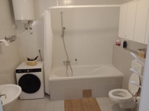 Et badeværelse på Apartment Vasja Bohinj