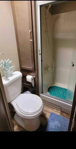 a bathroom with a white toilet and a shower at Key Largo Paradise in Key Largo