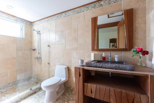ラス・テレナスにあるBalcones Del Atlantic Beachfrontbbqのトイレ、洗面台、シャワー付きのバスルーム