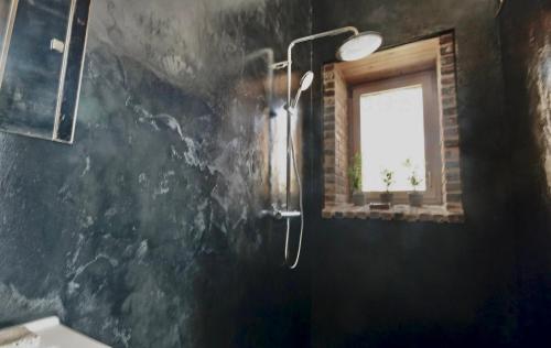 a bathroom with a shower and a window at Orangerie du chateau in Hugleville-en-Caux