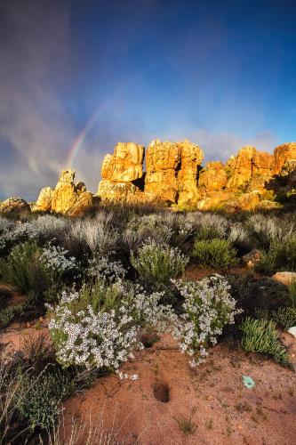 a rainbow in the desert with rocks and flowers at Kagga Kamma Nature Reserve in Lochlynne