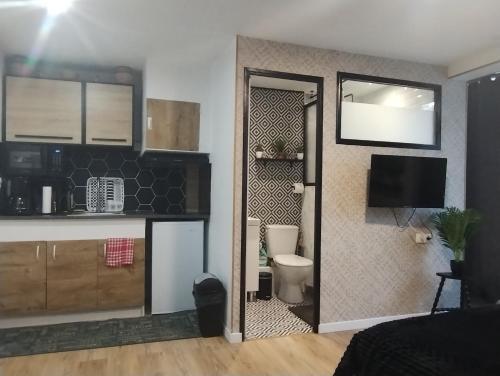 une chambre avec une salle de bain avec WC et une télévision dans l'établissement Studio le Trésor d'amour, à Noyers-sur-Cher