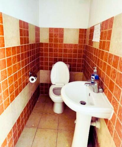 a bathroom with a toilet and a sink at Arodes AsteriA Volunteer & Youth ECO-house in Paphos City