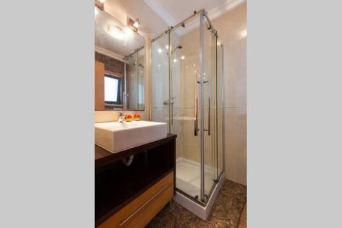 a bathroom with a sink and a shower at Apartamento Foz Arelho in Foz do Arelho
