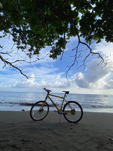 a bike parked on a beach near the ocean at Tim Pappies Nature Lodge - Alex's Place in Port Antonio
