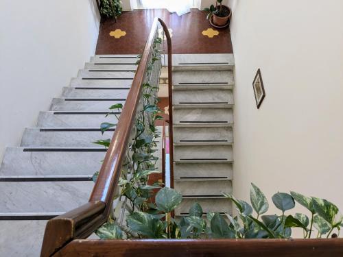 a staircase with a bunch of plants at Hotel Soggiorno Athena in Pisa