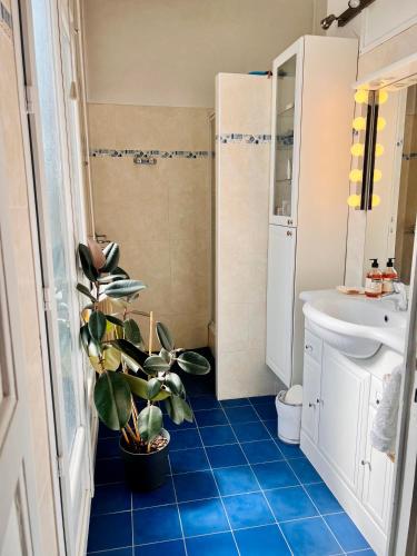 une salle de bain avec un sol en carrelage bleu et une plante dans l'établissement Superbe T2 au cœur de Marseille, à Marseille