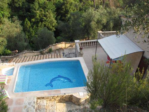 - une piscine avec un dauphin peint sur elle dans l'établissement La Mandarine, à Colomars