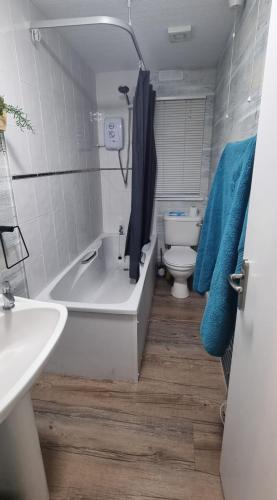 a bathroom with a tub and a toilet and a sink at 42 pine lodge & sea views in Llanarmon