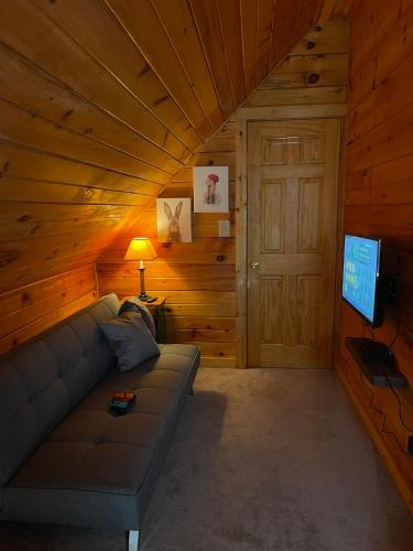 TV a/nebo společenská místnost v ubytování Cozy Cabin in Red River Gorge