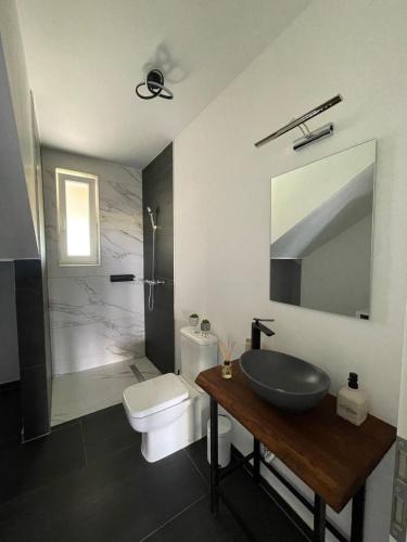 a bathroom with a sink and a toilet and a mirror at BIA Twin House in Arad