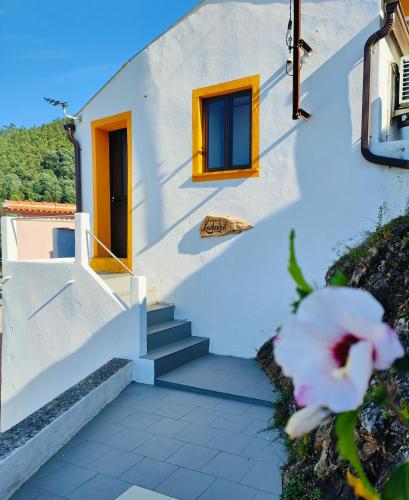 a white house with stairs and a door at Casinha da Ladeira 3360 in Penacova