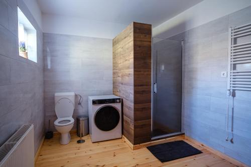 a bathroom with a shower stall and a toilet at Alpakavendégház in Balatoncsicsó